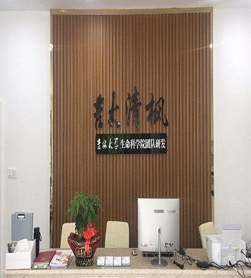 吉大清枫体验店