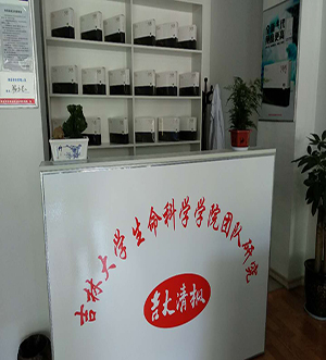 吉大清枫体验店