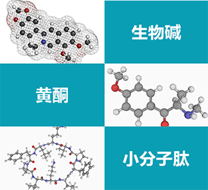 吉大清枫